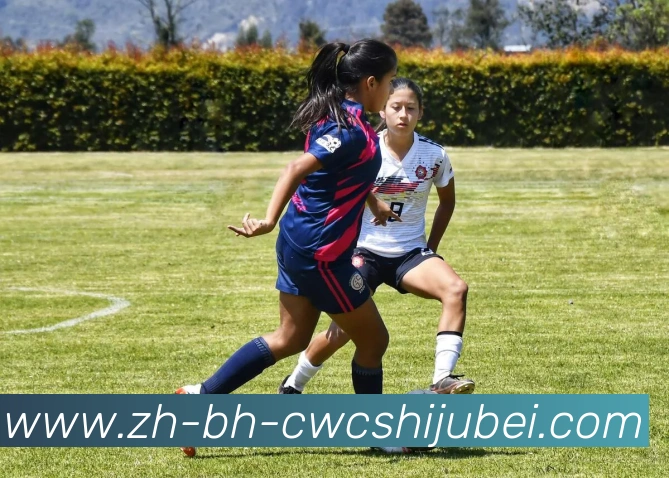 多媒体互动体验